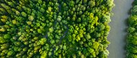 Aerial view of lush green forest canopy with winding river creating natural boundary between dense woodland areas for environmental and nature concepts.