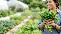 Young woman of South Asian descent wearing denim shirt holding fresh parsley bunch in vegetable garden with greenhouse background, suitable for organic farming, agriculture, and gardening content.