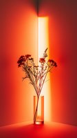 Minimalist floral arrangement in glass vase against red gradient background with dramatic lighting effect creating shadow and depth, artistic still life composition.