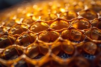 Fresh honeycomb with golden honey glowing in sunlight, macro close-up showing detailed hexagonal beeswax structure and natural organic patterns.