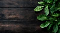 Fresh green spinach leaves on dark rustic wooden background with copy space for text, overhead view of raw organic produce for healthy eating.