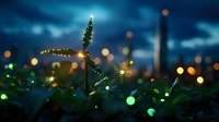 Glowing magical fireflies illuminate green plant silhouettes against dark blue night sky with bokeh lights creating dreamy summer atmosphere.