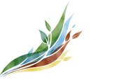 Colorful abstract leaf design with flowing organic shapes in green blue orange yellow tones isolated on white background for eco branding and nature graphics.