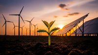 Green plant seedling growing from soil with wind turbines and solar panels at sunset representing sustainable renewable energy and environmental growth.