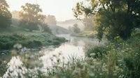 Serene river landscape with misty morning atmosphere, lush green vegetation, and trees reflecting in calm water, suitable for nature and environmental design projects.