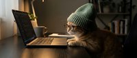 Orange tabby cat wearing green knit beanie hat working on laptop computer at wooden desk in cozy home office with warm lighting and bookshelves in background.