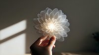 Glowing translucent flower held in hand against dark background, illuminated by natural sunlight creating ethereal atmosphere.