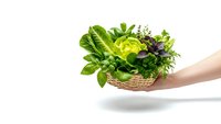 Fresh organic herbs and leafy greens in wicker basket held by female hands on white background, healthy cooking ingredients for culinary recipes.