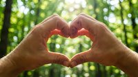 Male hands forming a heart shape against a bright green bokeh forest background, symbolizing love for nature and environmental care.