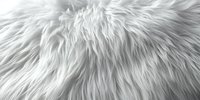 Luxurious white fur texture with long fluffy fibers creating soft waves and shadows, suitable for fashion and interior design backgrounds.