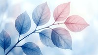 Watercolor branch with translucent blue and pink leaves on soft white background, isolated design element suitable for wallpapers, textiles, and graphic projects.