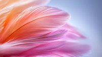 Delicate coral and pink feather macro with soft focus creating dreamy ethereal effect, gentle curves and lines on gradient background for romantic designs.