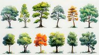 Watercolor trees collection with seasonal colors and varied shapes on white background, nature elements for botanical design and decoration purposes.