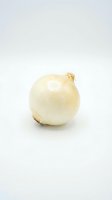 Fresh white onion with papery skin and roots isolated on neutral background, suitable for food and cooking content.