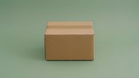 Closed cardboard shipping box isolated on mint green background, ready for packaging design, mockups, and e-commerce applications.