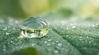 Crystal clear water droplet on green textured surface with bokeh background creating natural macro photography composition for environmental concepts.