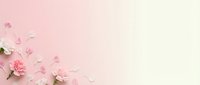 Delicate pink carnation flowers and scattered petals on soft gradient background with copy space for romantic designs and spring celebrations.
