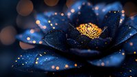 Magical dark blue flower petals with golden glowing sparkles and bokeh lights creating dreamy atmosphere. Macro photography with shallow depth of field.