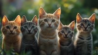 Five adorable kittens of different colors sitting in a row outdoors with blurred natural background, looking up with curious expressions and alert ears.