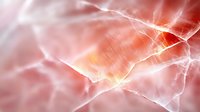 Abstract flowing energy waves with glowing light effects in warm pink and orange tones creating dynamic motion background for digital art projects.