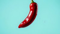 Red chili pepper isolated on turquoise background, ready for culinary, food packaging, recipe, and cooking design projects.