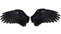 Black angel wings spread wide on white background isolated for fantasy design projects and creative artwork applications.