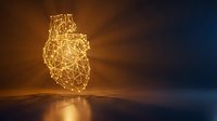 Golden wireframe anatomical heart with glowing light effects on reflective surface for medical technology and healthcare design concepts.