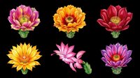 Colorful lotus and water lily flowers isolated on transparent background, ready for t-shirt design, clipart, stickers, sublimation and print-on-demand projects.