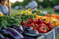 Fresh organic vegetables at farmers market with red bell peppers, eggplants and leafy greens displayed in wooden crates for healthy local food shopping.