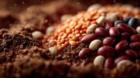 Colorful dried legumes and ground spices scattered on rustic surface with warm lighting. Assorted beans, lentils and powder spices for cooking and nutrition.