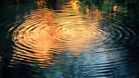 Mesmerizing concentric ripples on dark water surface reflecting golden sunset light, creating hypnotic circular patterns in tranquil pond or lake.