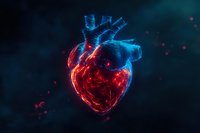 Glowing anatomical heart with red and blue neon effect against dark background, depicting cardiovascular system and blood flow in modern artistic style.