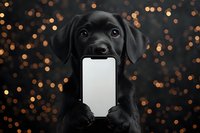 Black Labrador puppy holding smartphone with blank screen against dark background with golden bokeh lights, modern pet photography concept.