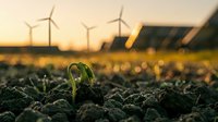 Green seedling emerging from dark soil with wind turbines and solar panels in background at golden sunset representing sustainable energy and growth.