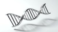 DNA double helix structure isolated on white background, suitable for scientific research, medical education, biotechnology, and genetics presentations.