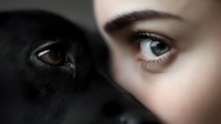 Close up portrait showing contrast between human blue eye and dark dog eye in artistic composition, highlighting connection between human and pet companion.