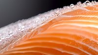 Fresh raw salmon fillet with water droplets in macro view showing detailed texture and natural orange color layers of fresh fish meat.