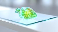 Glowing anatomical heart in translucent green and yellow colors on glass surface against light background, medical visualization concept for cardiology and healthcare.