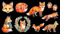Watercolor fox collection featuring head portraits, full body poses, paw prints, and floral wreath designs. Isolated on transparent background, ready for t-shirt designs, clipart, stickers, sublimation, and print-on-demand products.