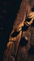 Roasted coffee beans scattered on rustic wooden surface with warm lighting and dramatic shadows creating cozy cafe atmosphere for beverage branding.