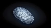 Digital fingerprint scan with detailed ridge patterns and loops on dark background for security and identification technology applications.