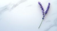 Purple lavender sprig on white marble background, minimalist botanical composition with soft natural lighting and copy space for wellness designs.