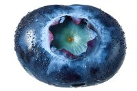Fresh blueberry macro with water droplets showing cross-section and inner texture, revealing vibrant purple-blue skin and green center.