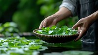 Hands holding wooden bowl with fresh green herbs on rustic table. Organic cooking ingredients preparation for healthy meals and natural cuisine.