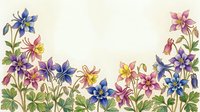Colorful columbine flowers border with copy space, hand-drawn botanical style in pink, blue, purple and yellow tones on light background.