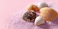 Colorful seashells collection on pink sandy beach surface creating tropical summer vacation and marine life concept for coastal decorating projects.