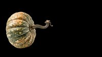 Striped winter squash with tan and green coloring, isolated on transparent background, ready for clipart, t-shirt design, stickers, print-on-demand products, and sublimation projects.