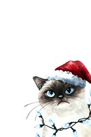 Watercolor Siamese cat wearing Santa hat with Christmas lights isolated on white background for holiday greeting cards and seasonal designs.