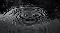 Concentric ripples on dark water surface create mesmerizing circular patterns after water drop impact, perfect for concepts of tranquility, meditation, or natural phenomena.