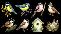 Cute wild birds clipart set with birdhouse and nest, isolated on transparent background. Ready for stickers, t-shirt design, print on demand, and sublimation projects.